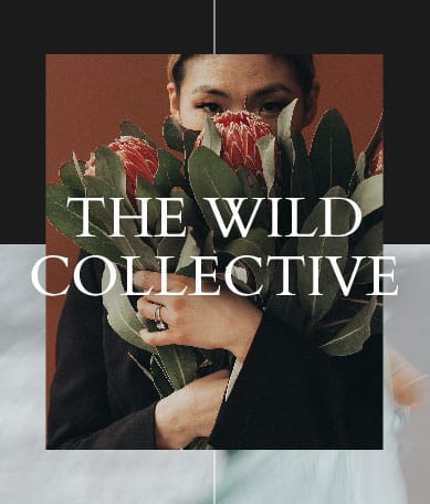 SY - Program Icons V01_Wild Collective